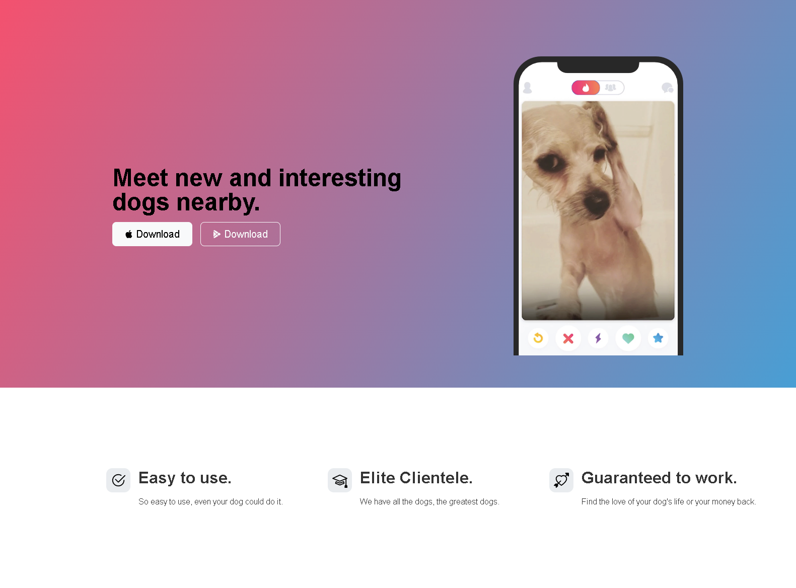 Captura del proyecto Thindog